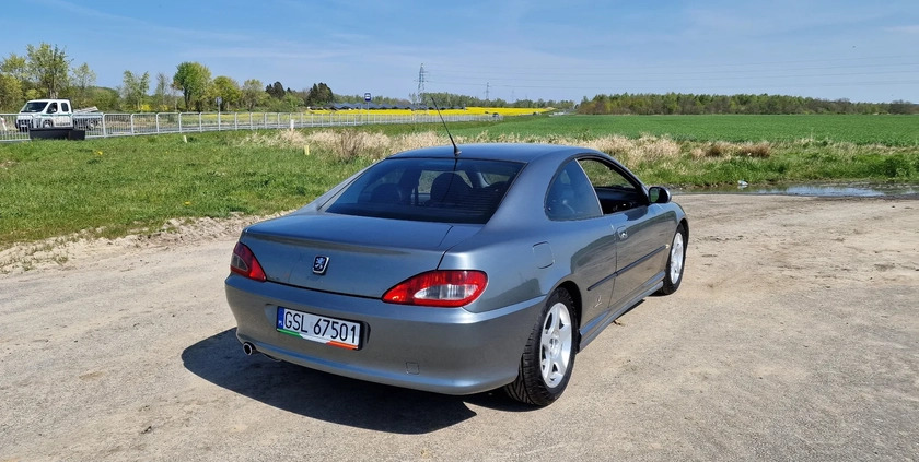 Peugeot 406 cena 25650 przebieg: 290000, rok produkcji 2004 z Ustka małe 67